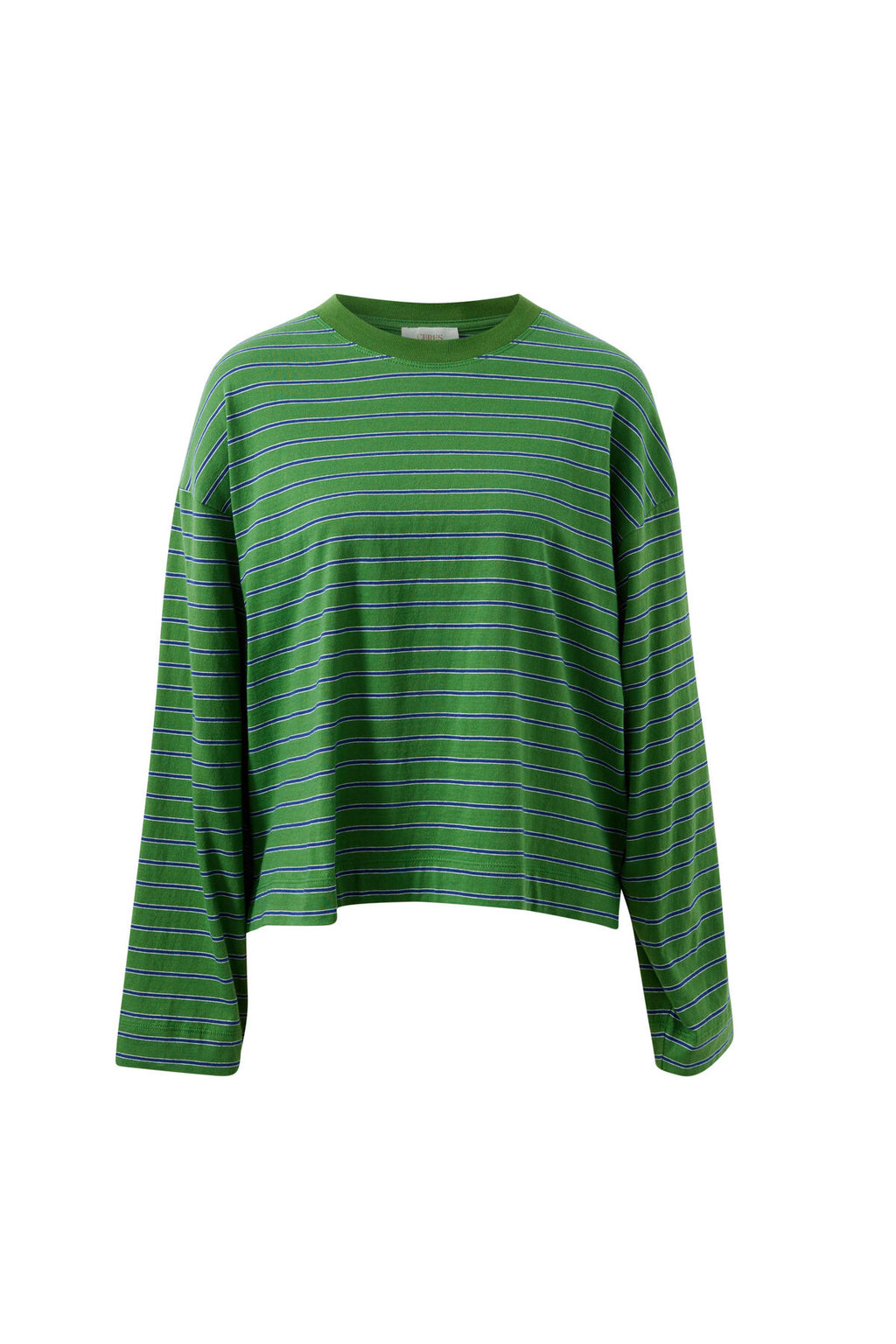 CERES LIFE BEAU LONG SLEEVE SLOUCHY TEE - BASIL/PRUSSIAN BLUE STRIPE
