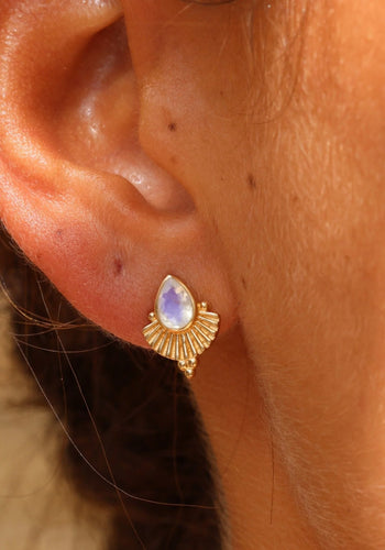 TONI MAY VENUS MOONSTONE EARRINGS - GOLD