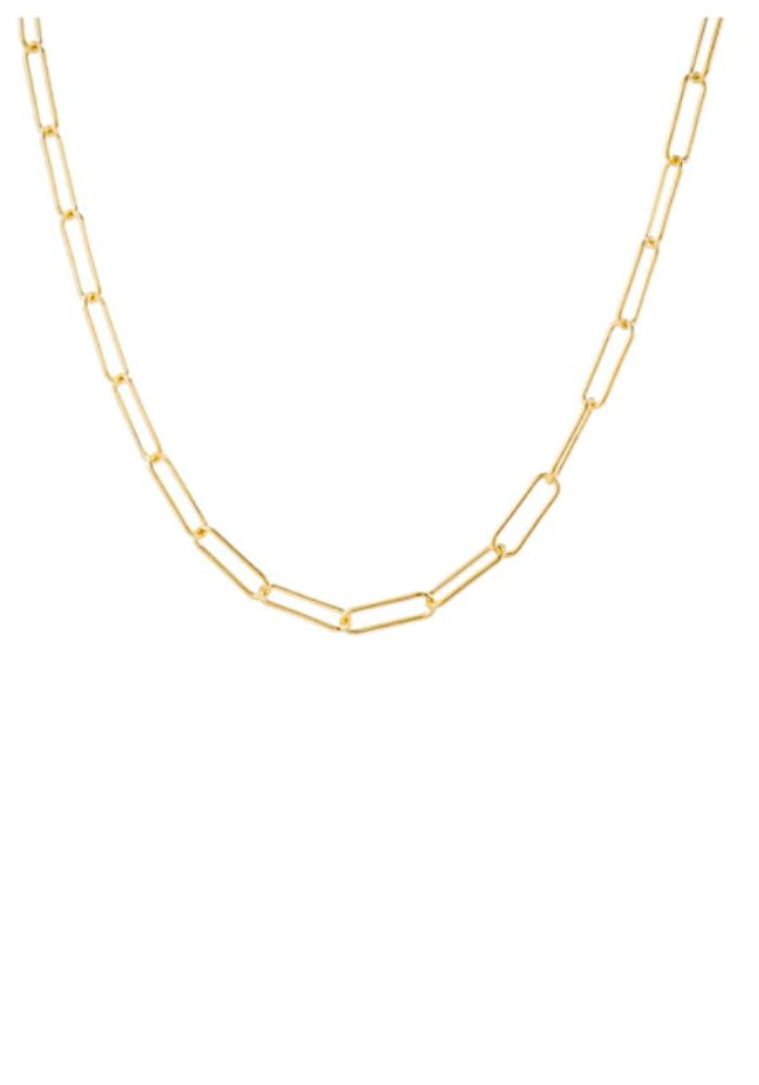 Load image into Gallery viewer, JEWEL CITIZEN - LINK CHAIN NECKLACE